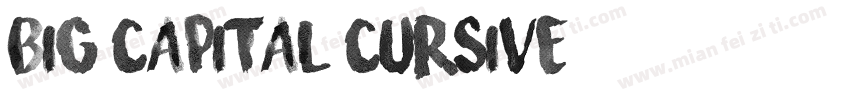 Big Capital Cursive字体转换